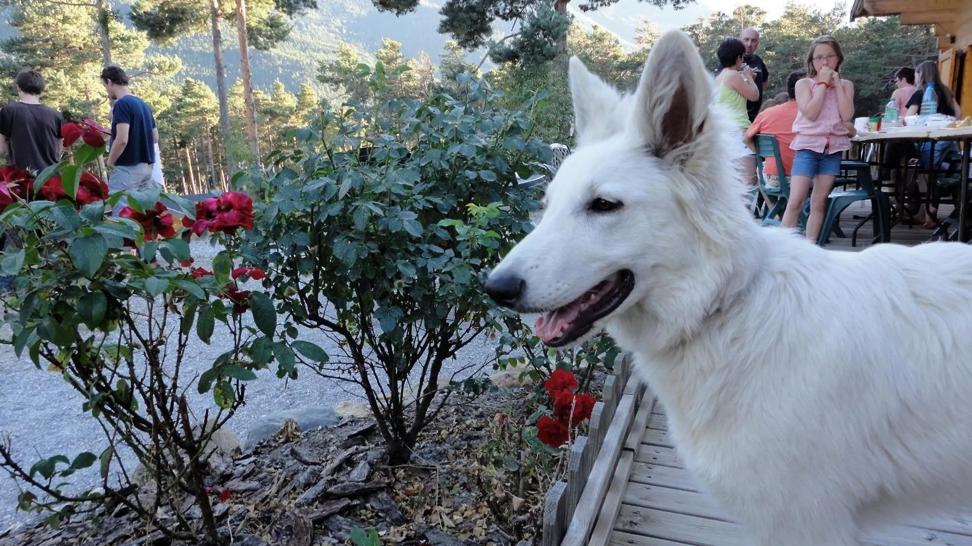 Hotel Parc Résidentiel de Loisir : Le Loup Blanc du Riou à Barcelonnette 0*,  France